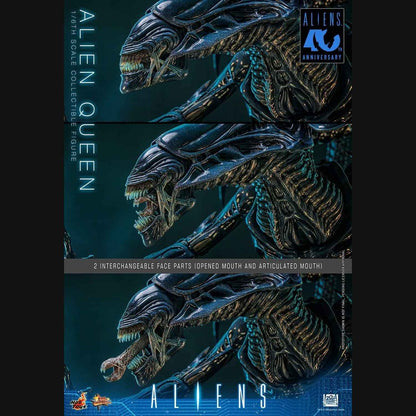 Hot Toys Alien - Alien Queen Masterpiece 1/6 Actionfigur