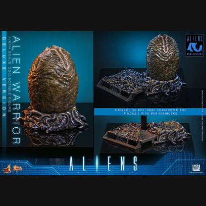 Hot Toys Alien - Alien Warrior (Deluxe) Masterpiece 1/6 Actionfigur