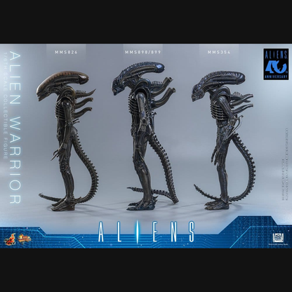 Hot Toys Alien - Alien Warrior Masterpiece 1/6 Actionfigur