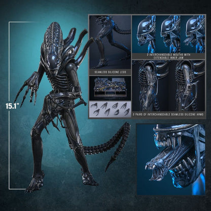 Hot Toys Alien - Alien Warrior Masterpiece 1/6 Actionfigur