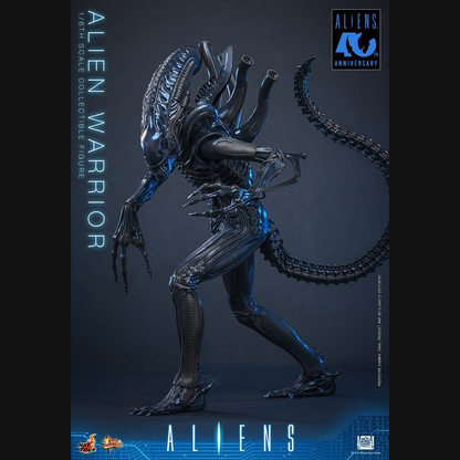Hot Toys Alien - Alien Warrior Masterpiece 1/6 Actionfigur
