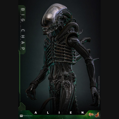 Hot Toys Alien - Big Chap Masterpiece 1/6 Actionfigur