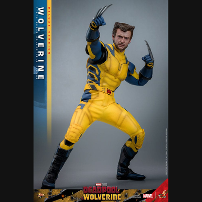 Hot Toys Deadpool & Wolverine - Wolverine (Deluxe) Masterpiece 1/6 Actionfigur