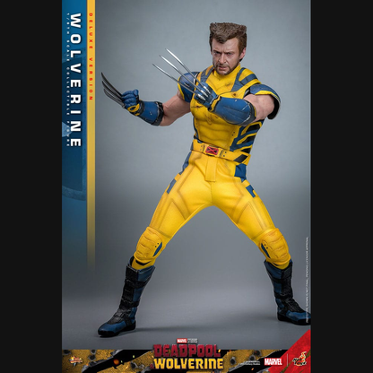 Hot Toys Deadpool & Wolverine - Wolverine (Deluxe) Masterpiece 1/6 Actionfigur