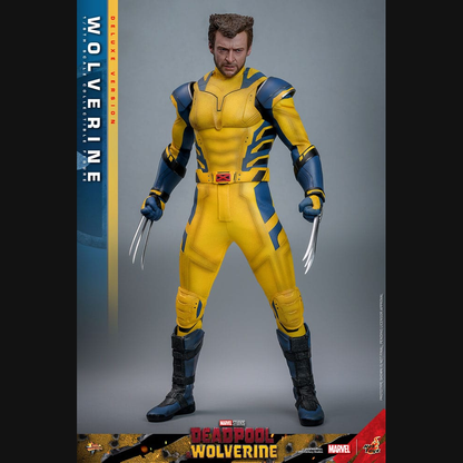 Hot Toys Deadpool & Wolverine - Wolverine (Deluxe) Masterpiece 1/6 Actionfigur