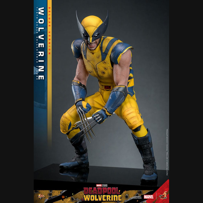 Hot Toys Deadpool & Wolverine - Wolverine (Deluxe) Masterpiece 1/6 Actionfigur